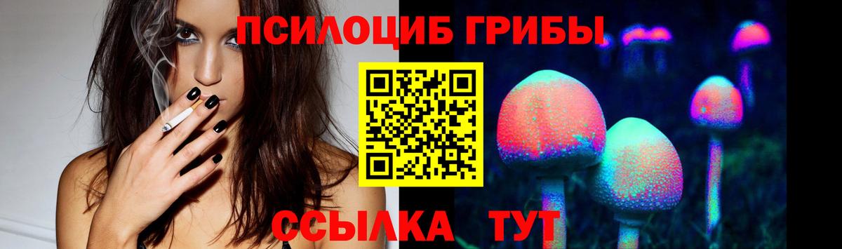 Галлюциногенные грибы Psilocybe Орёл